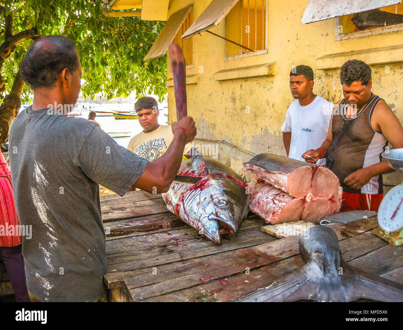 Grand Baie, Mauricio - Diciembre 27, 2009: los pescadores vender materias rabil recortes en el mercado de pescado de Grand Baie, en Isla Mauricio, Indian Oceaní Foto de stock