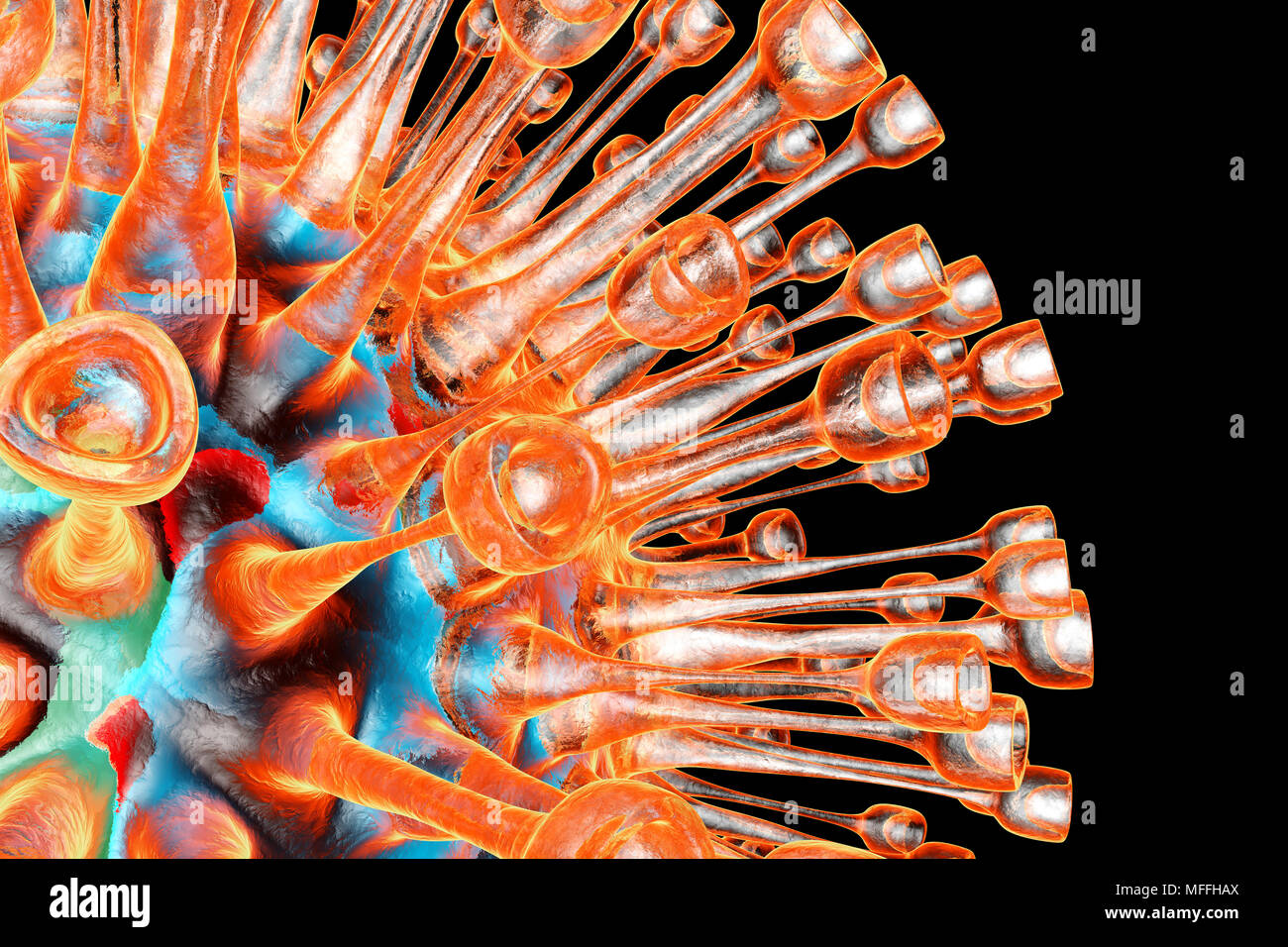 Visualización médica de un herpes virus aislados en negro. Ilustración 3D. Foto de stock