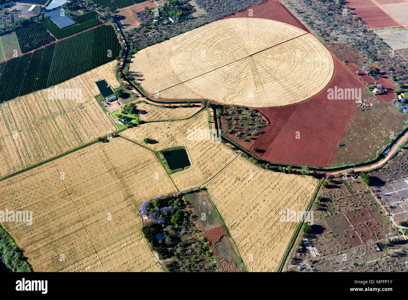 Vista aérea de la presa Hartebeesport tierras agrícolas. Sudáfrica Foto de stock