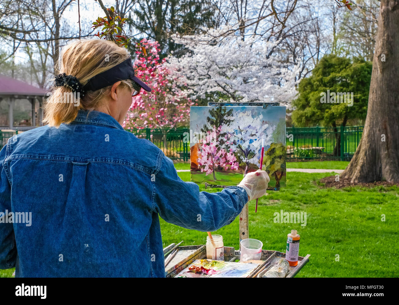 Mujer senior de pintura en un jardín público en la primavera en Missouri; la pintura y los temas son vistos claramente Foto de stock