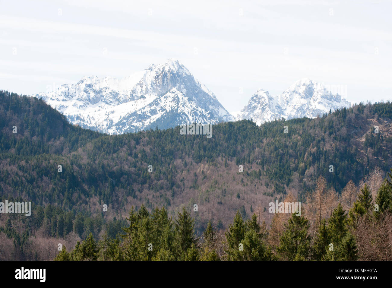 Vista sobre el lago Alpsee mostrando las montañas de izquierda a derecha de Gehrenspitze, Kollenspitze, Haldensee, Tannheimer Berge, Baviera, Alemania Foto de stock