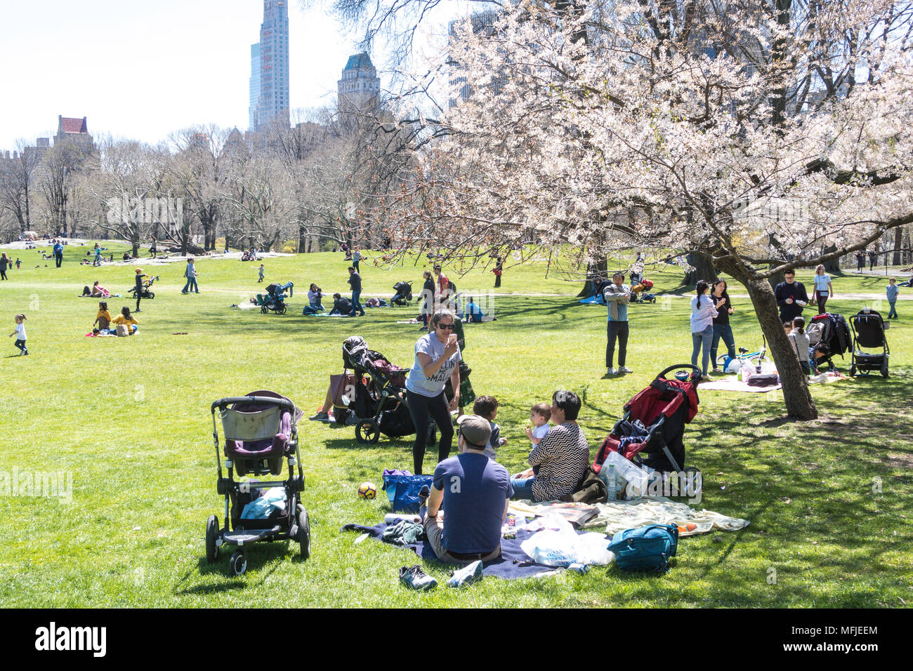 Las parejas y familias disfrutando de un tranquilo día de la primavera en el Sheep Meadow, Central Park, Nueva York, EE.UU. Foto de stock