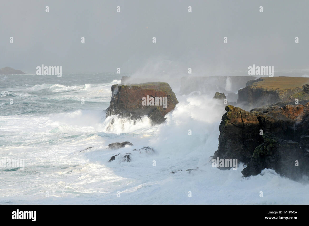 Oferta de olas en Eshaness acantilados en la isla Shetland durante una gran tormenta atlántica Foto de stock