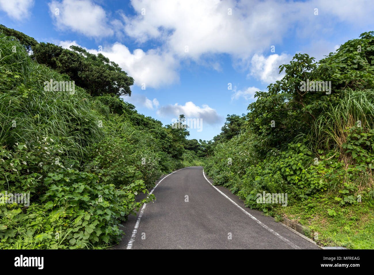 Carretera rodeada de vegetación; Isla Shimokoshiki, Prefectura de Kagoshima, Japón Foto de stock