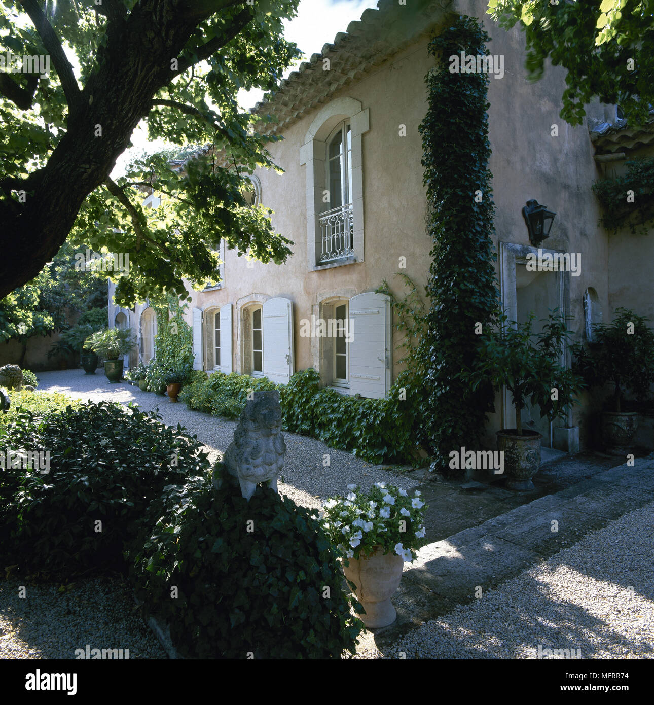 Exterior de una casa de campo francesa con contraventanas de madera blanca,  ventanas arqueadas, y viñas Fotografía de stock - Alamy