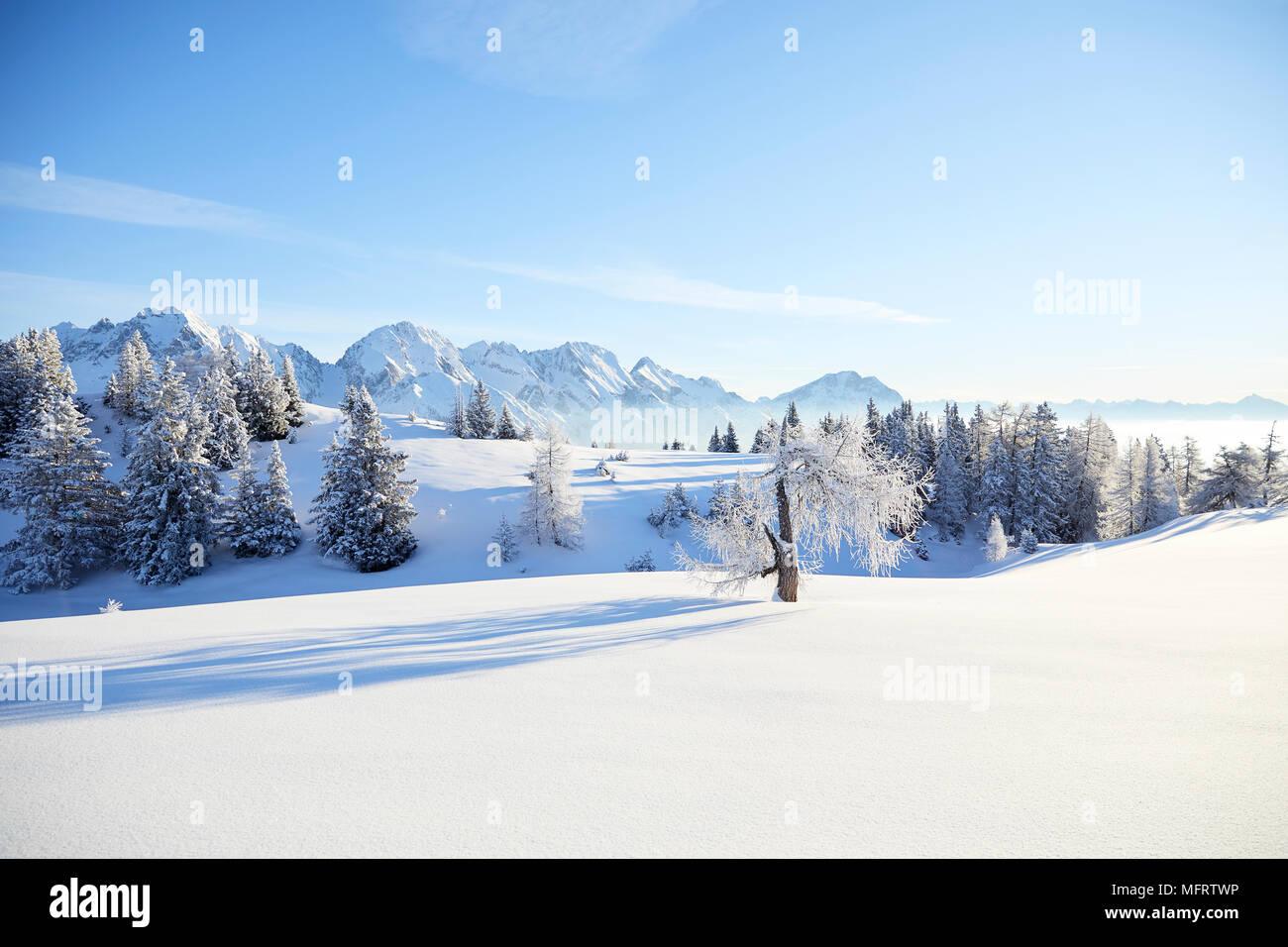 Paisaje invernal, latentes Alm, Obsteig, Mieming, Tirol, Austria Foto de stock