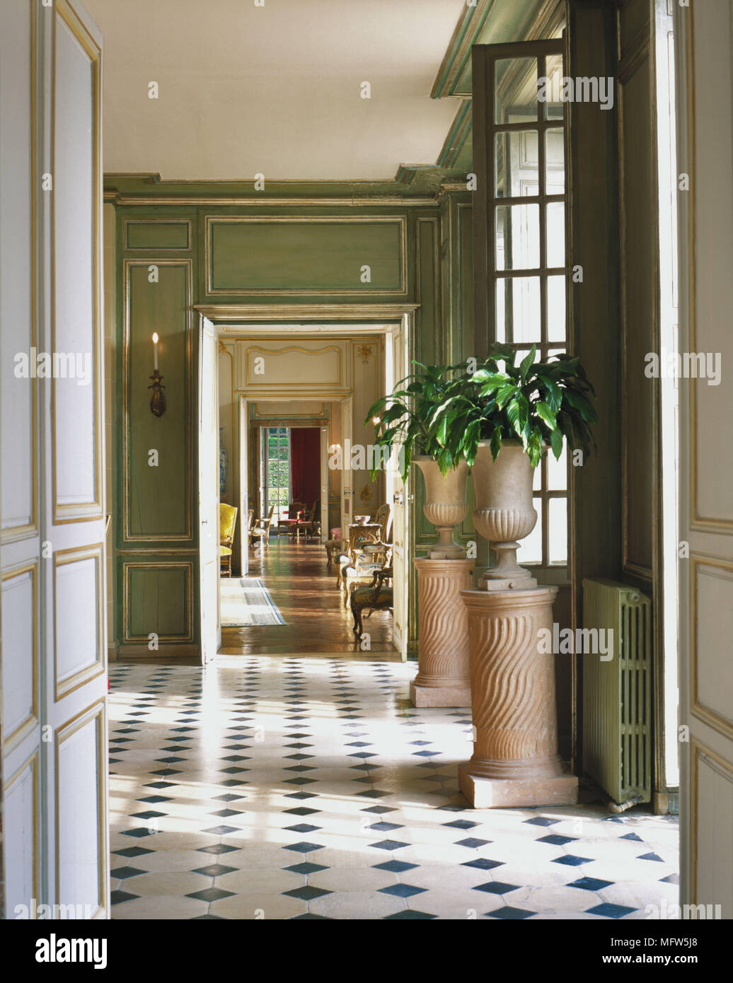 Un gran pasillo verde tradicionales con moldura de madera, suelo de azulejos blancos y negros, par de urnas sobre zócalo de plantas de casa Foto de stock