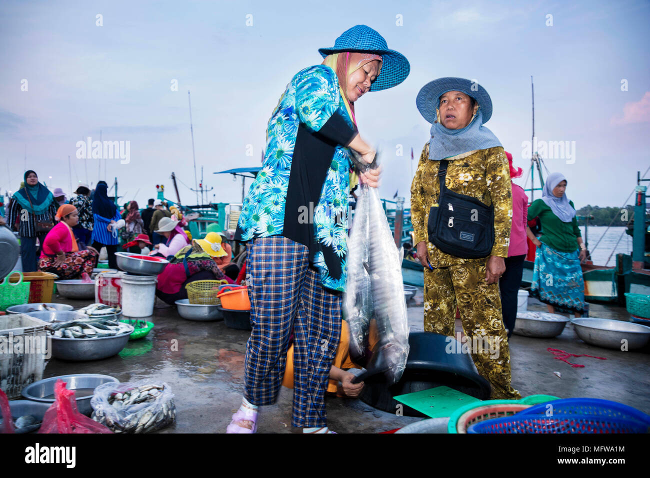 El mercado del pescado en Kampot, Camboya Foto de stock