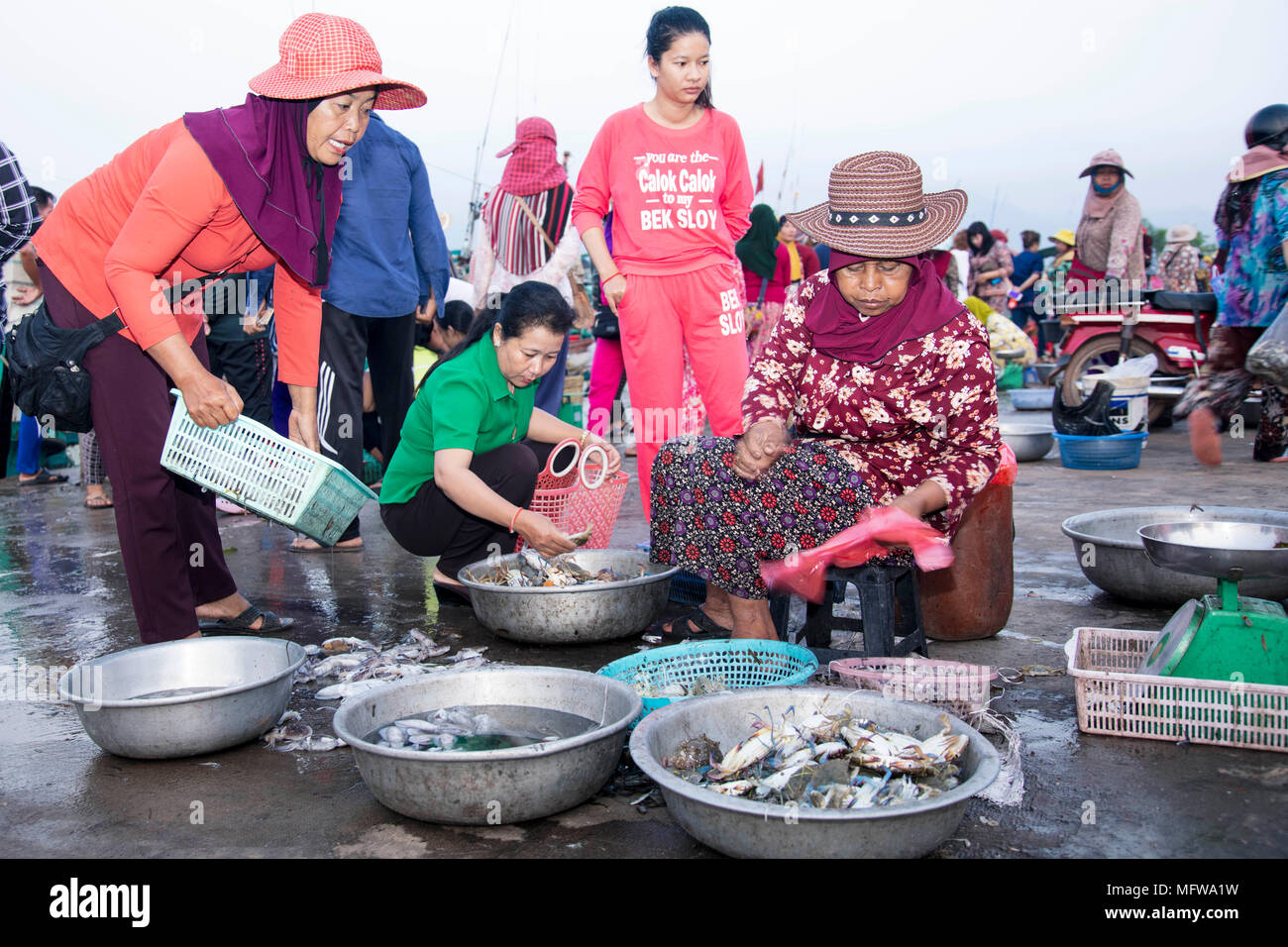 El mercado del pescado en Kampot, Camboya Foto de stock