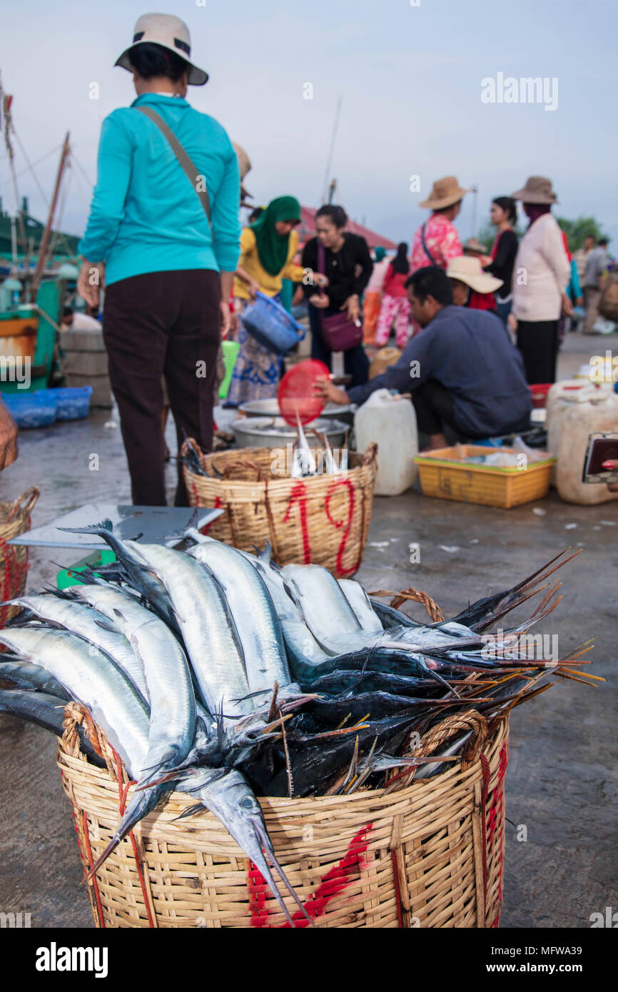 El mercado del pescado en Kampot, Camboya Foto de stock