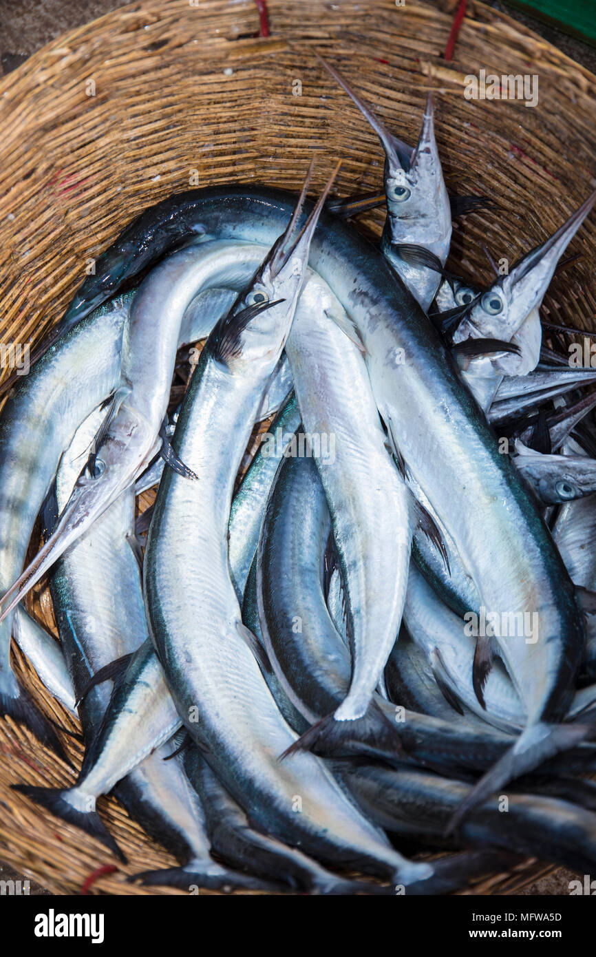 El mercado del pescado en Kampot, Camboya Foto de stock