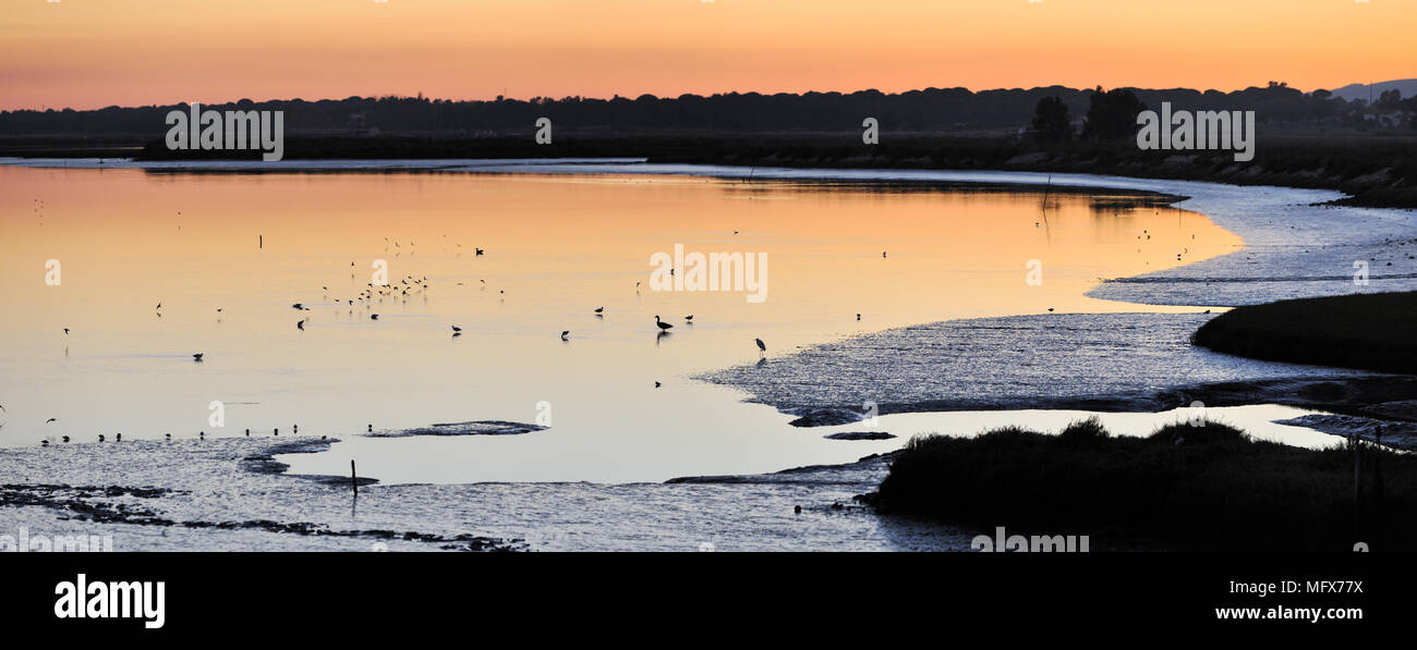 Los pantanos de la reserva natural del estuario de Sado al atardecer. Portugal Foto de stock