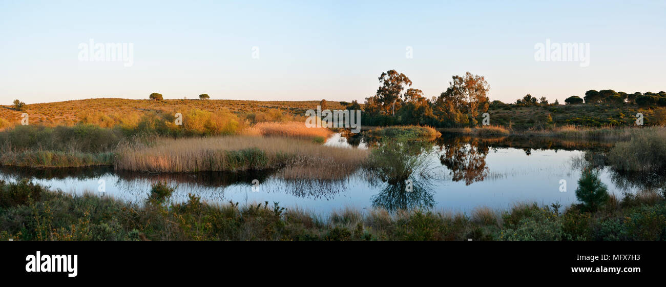 La reserva natural del estuario de Sado al atardecer. Portugal Foto de stock