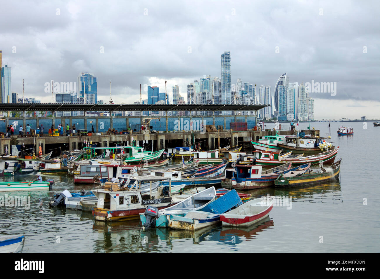 Alta Pesca Panama‎