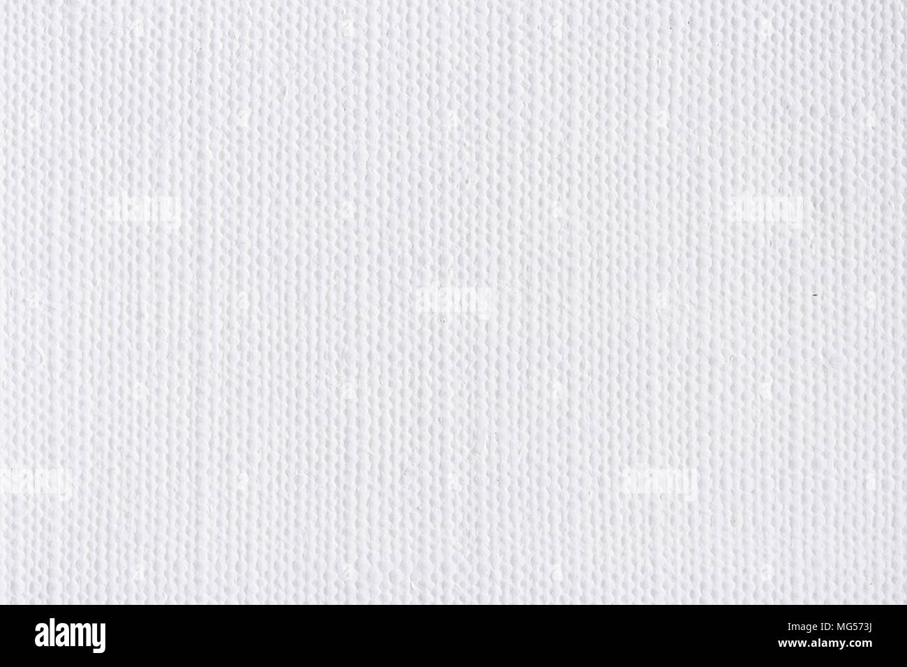 Textura de fondo de lienzo blanco en blanco
