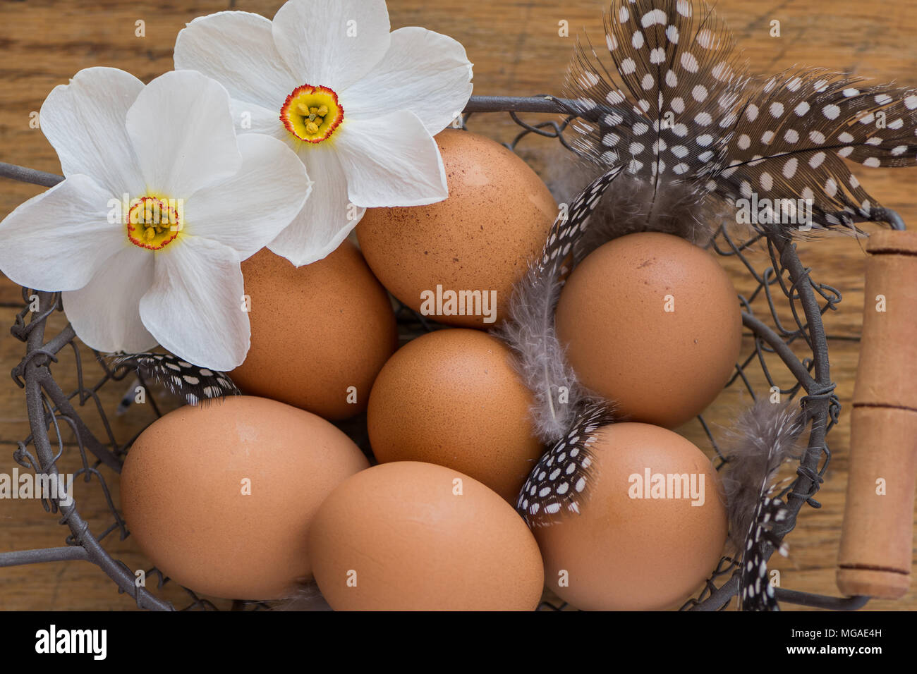 Brown huevos de gallina en una cesta Foto de stock