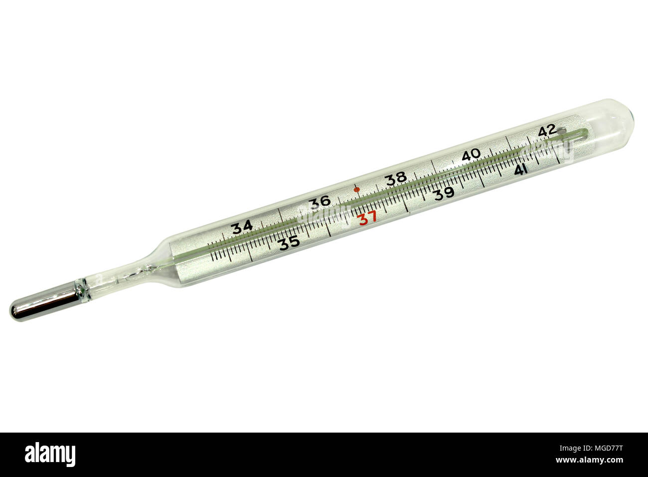 Medical termómetro de mercurio para medir la temperatura del cuerpo aislado  en un fondo blanco Fotografía de stock - Alamy
