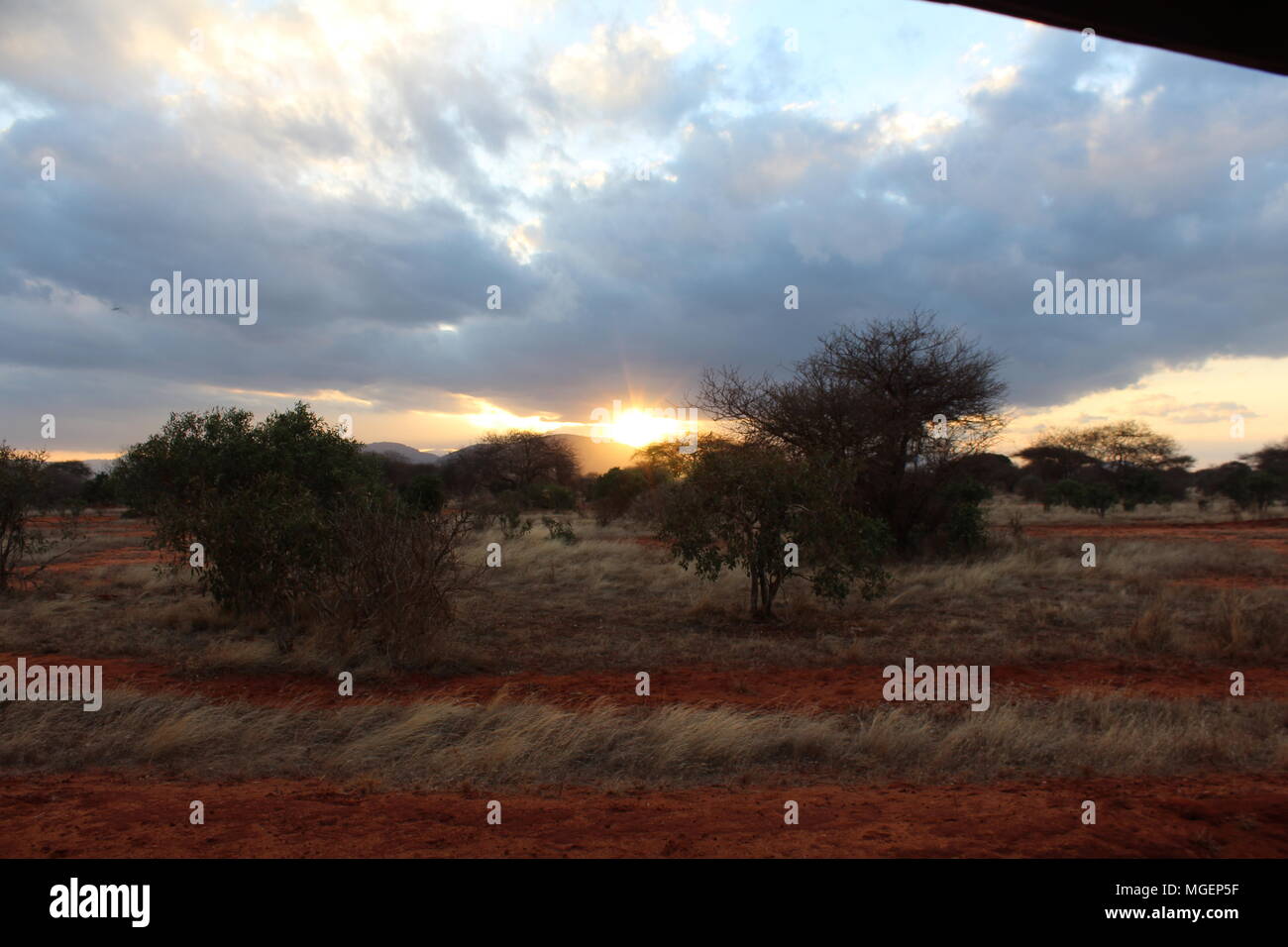 Atardecer en el parque natural de Tsavo en Kenia en África Foto de stock