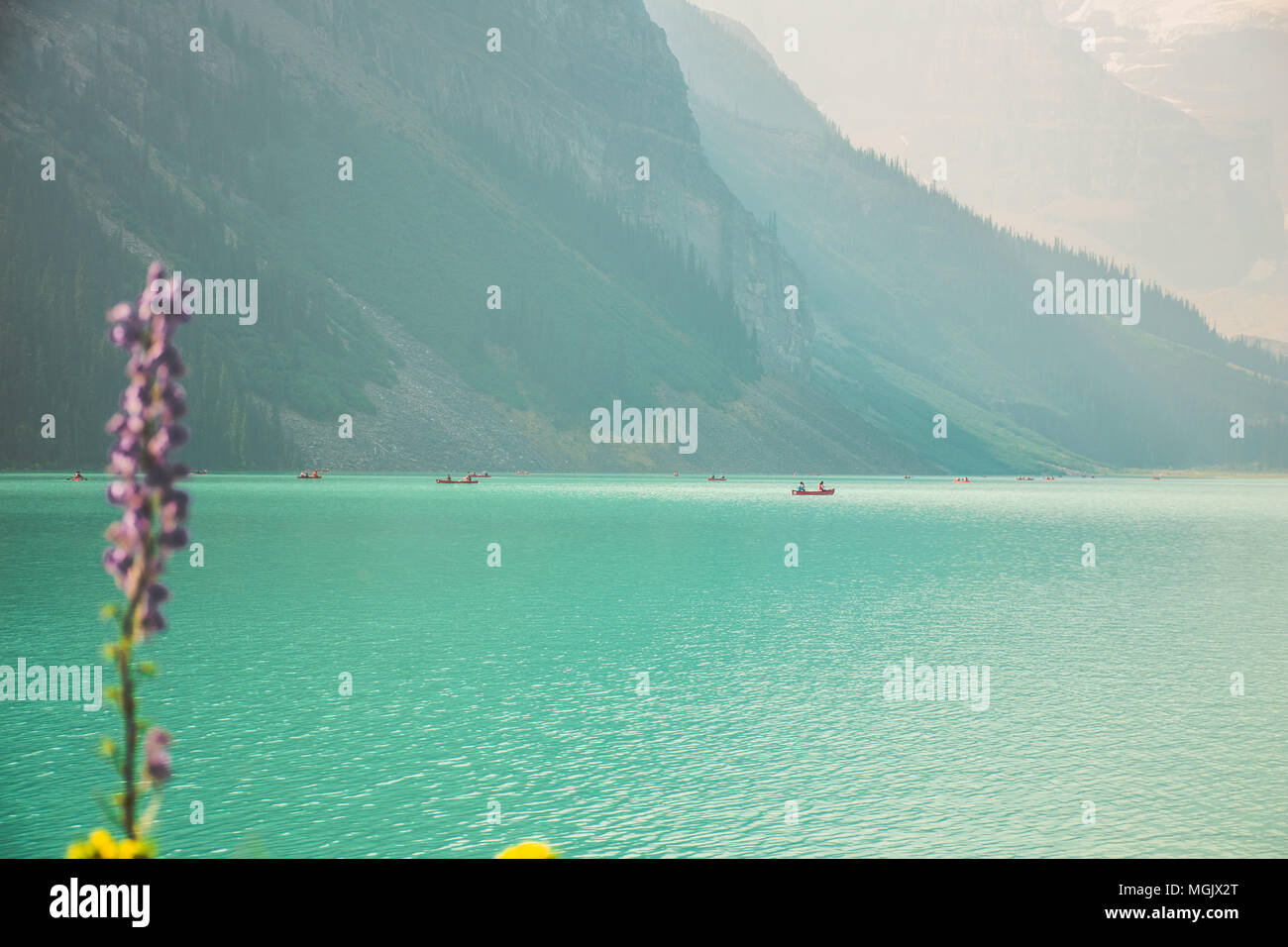 Hermoso lago Louise en el Parque Nacional Banff, Alberta, Canadá Foto de stock