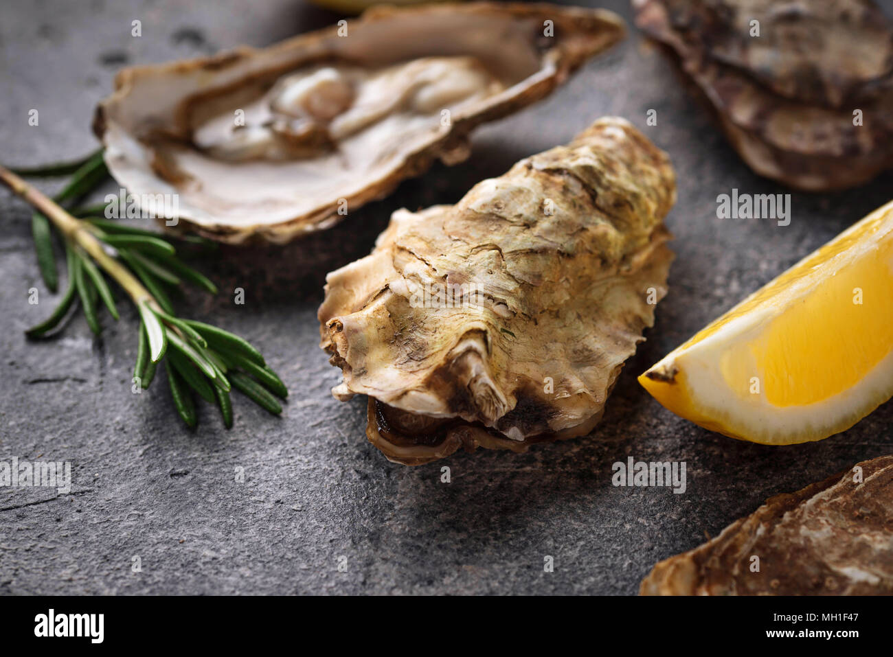 Ostras frescas con limón y Romero Foto de stock