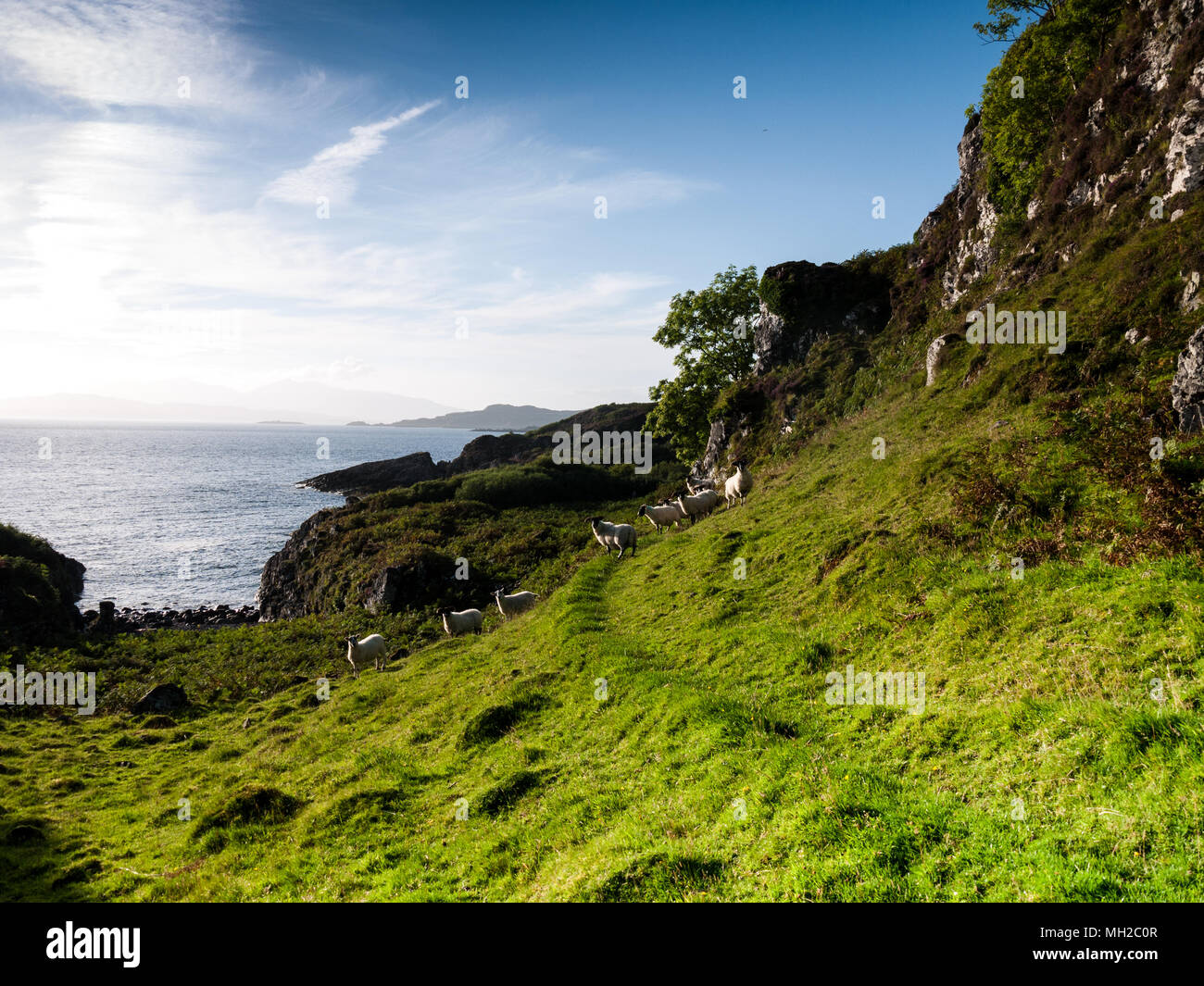 La costa de Loch Feochan del cottage Tigh Beg, cerca de Oban, Argyll and Bute, en Escocia, Reino Unido Foto de stock