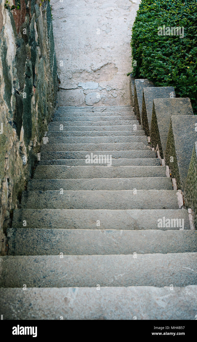 Misteriosa antigua escalera vacía. Antigua escalera en un jardín. Foto de stock