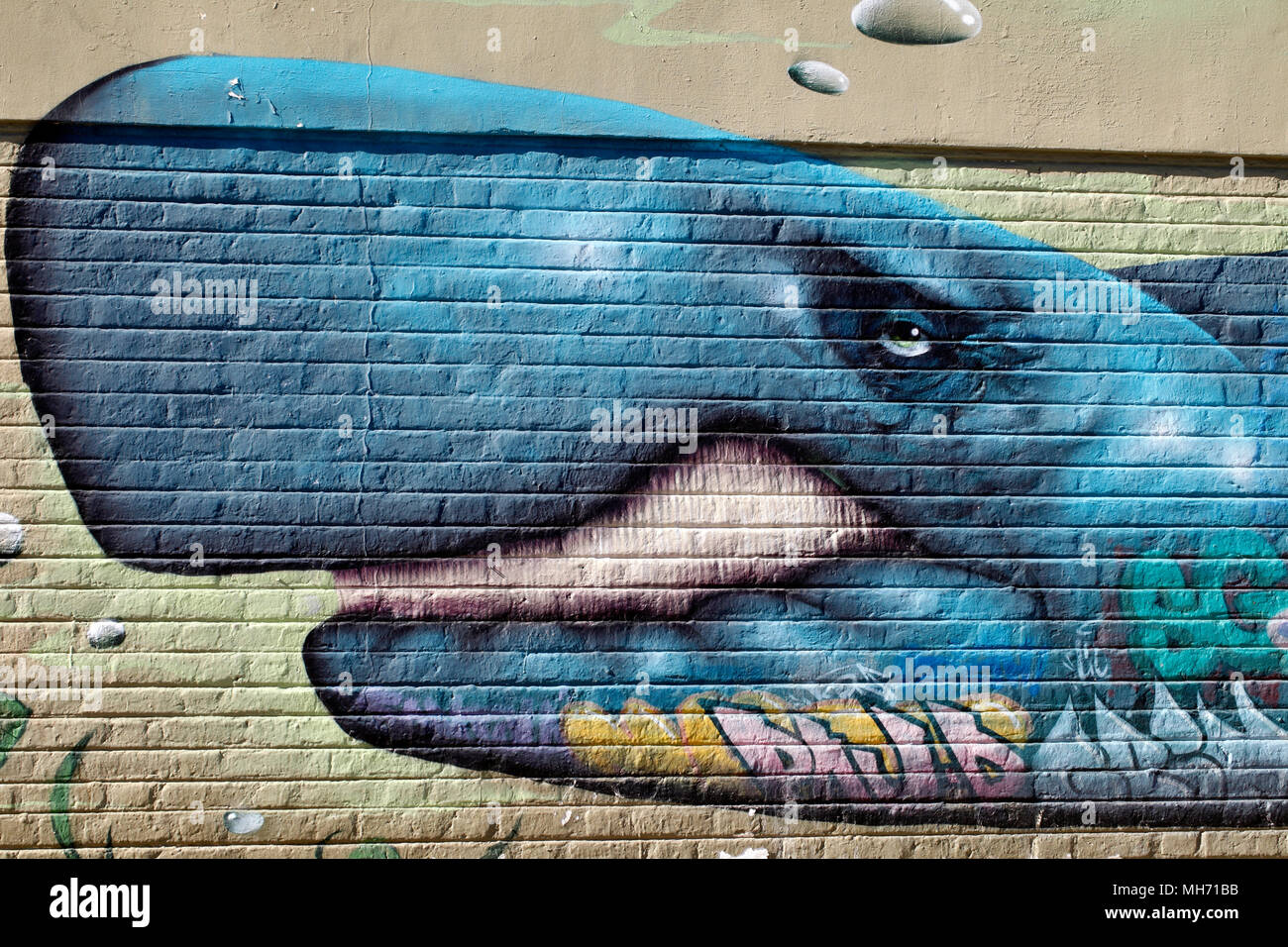 Wall Street art o arte de ballena azul. Puerto Madryn, provincia de Chubut, Argentina. Foto de stock