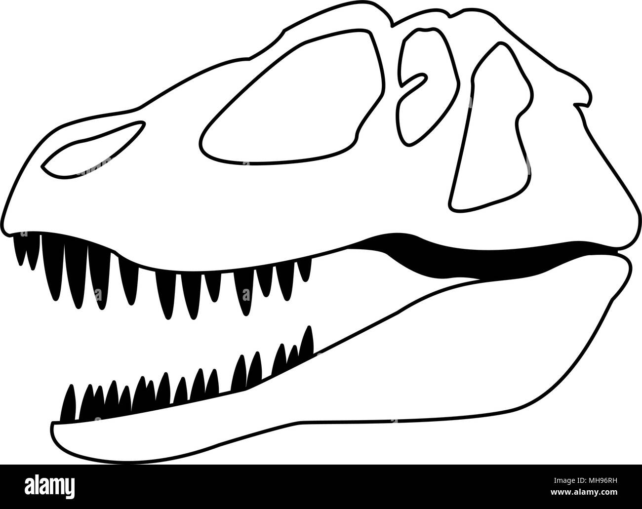 Cráneo de dinosaurio aislado en los colores blanco y negro Imagen Vector de  stock - Alamy