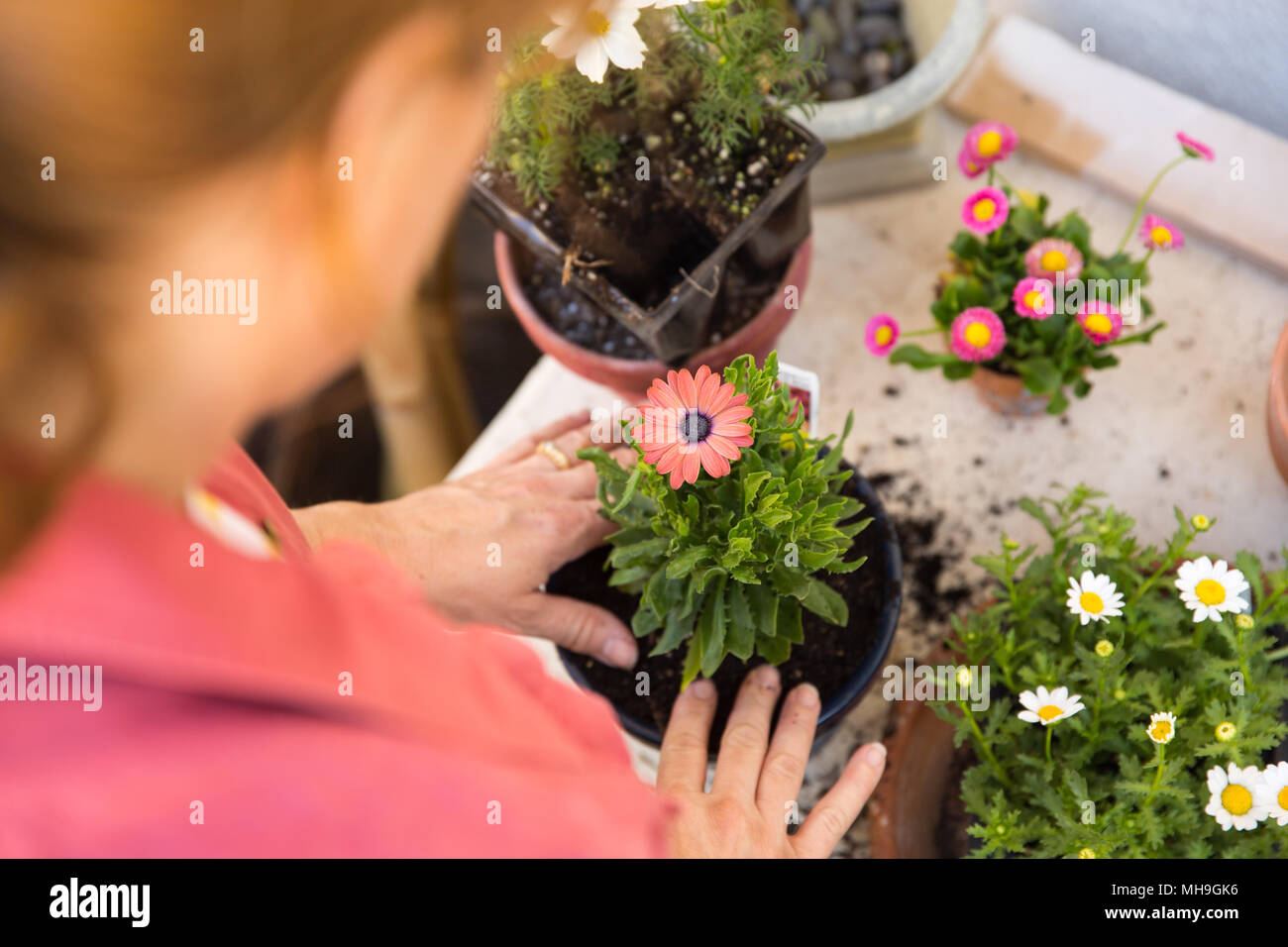 Flores para macetas mujer fotografías e imágenes de alta resolución - Alamy Flores para macetas mujer fotografías e imágenes de alta resolución - Alamy