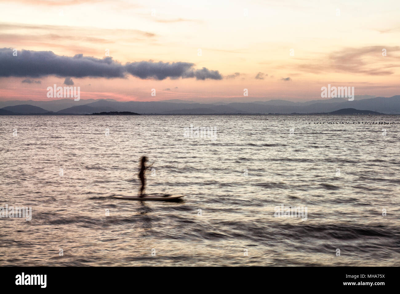 Silueta de una mujer en un stand up paddle board en Ribeirao da Ilha playa al atardecer. La ciudad de Florianópolis, Santa Catarina, Brasil. Foto de stock