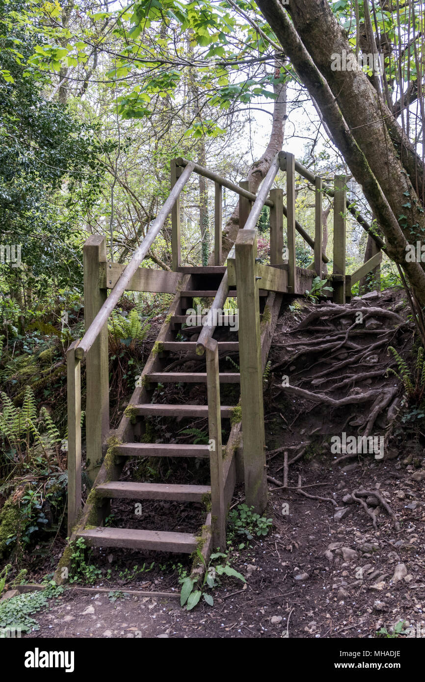 Escaleras rusticas fotografías e imágenes de alta resolución Alamy
