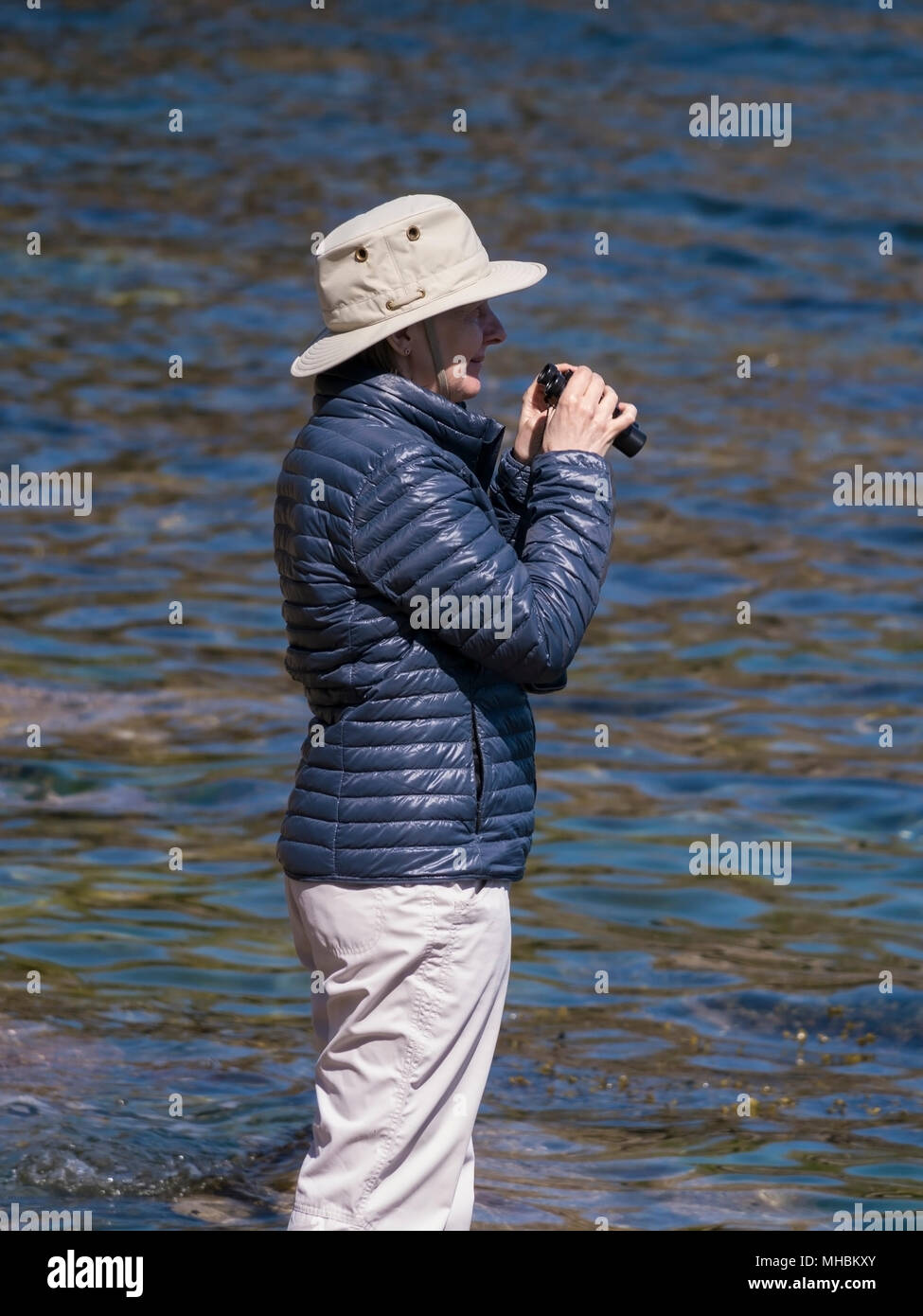 Mujer birdwatcher con binoculares para observación de vida silvestre, mientras que vestían puffer chaqueta y sombrero para el sol por agua permanente, Reino Unido. Foto de stock