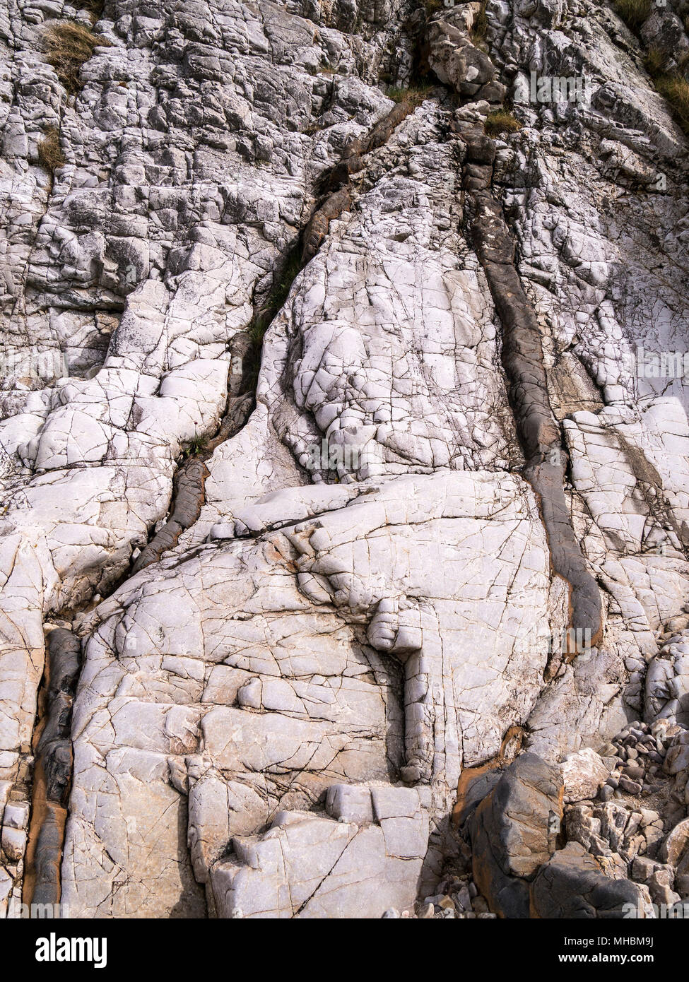 Pequeñas vetas de intrusión de basalto ígneo Palaeogene oscuro formando grietas en el lecho de arenita sedimentaria de color más claro, Ord, Isla de Skye, Escocia, Reino Unido Foto de stock