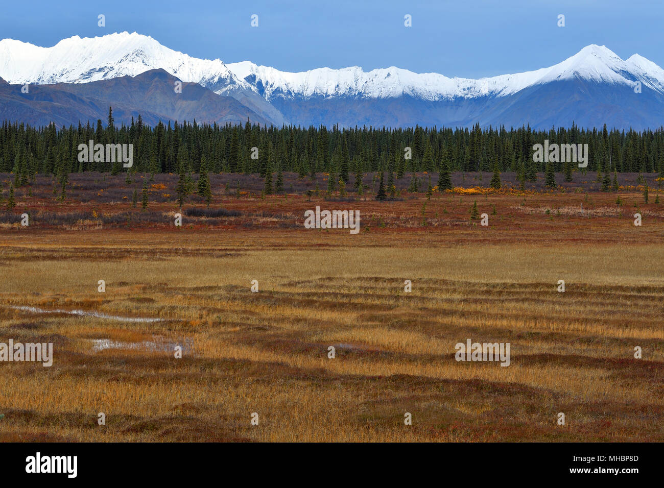 Alaska Range en otoño, delante páramos y bosques boreales, en amplios parques Pass en la autopista, Cantwell, Alaska, EE.UU. Foto de stock