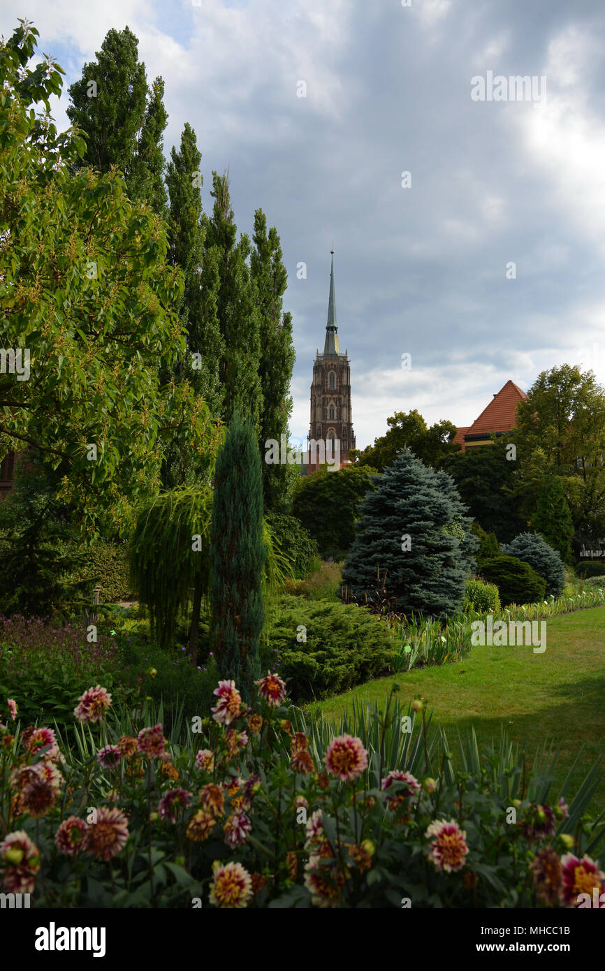 Catedral de San Juan Bautista en Wroclaw, visto desde el famoso jardín botánico (Kathedrale St. Johannes / Archikatedra św. Jana Chrzciciela) Foto de stock
