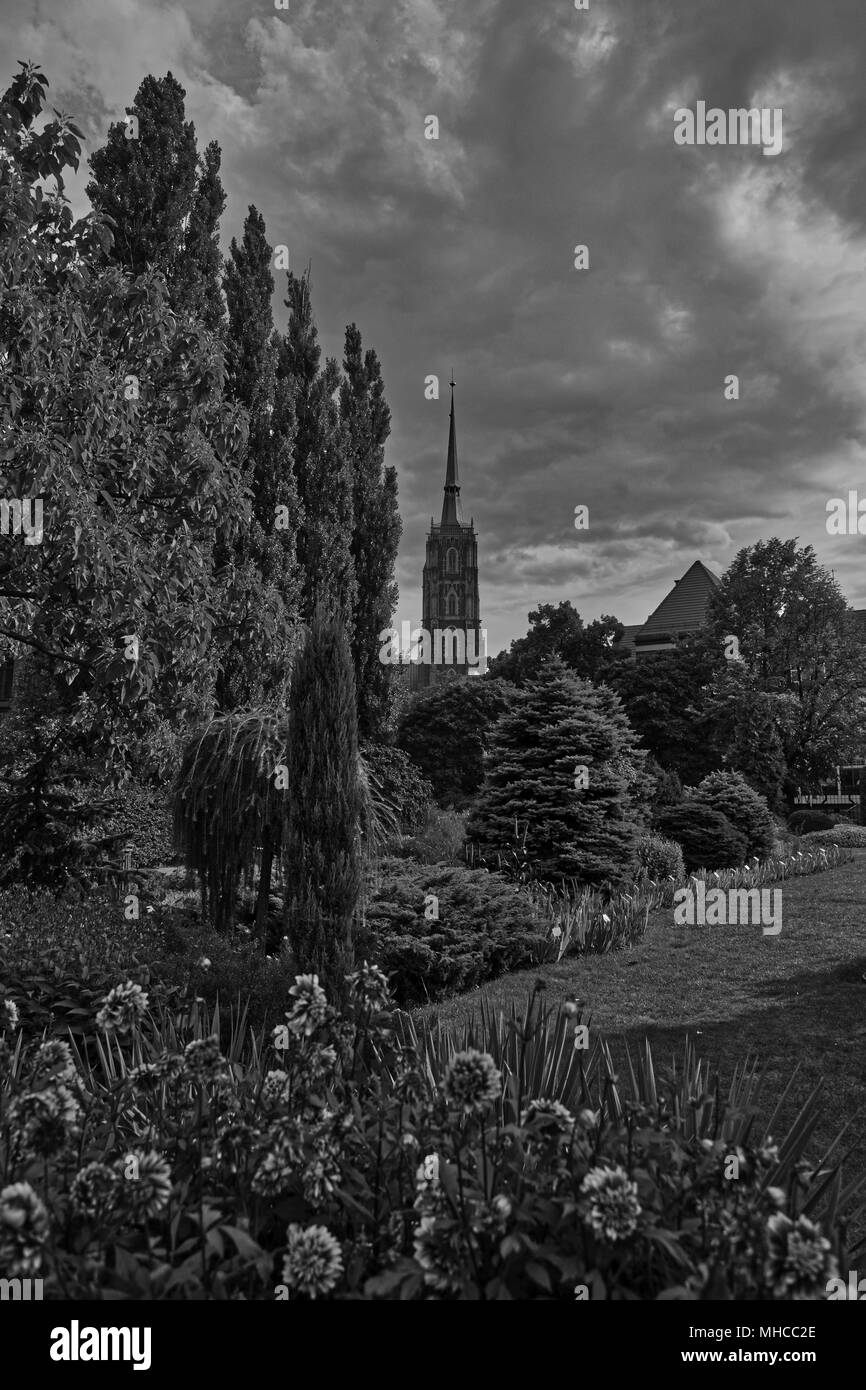 Catedral de San Juan Bautista en Wroclaw, visto desde el famoso jardín botánico (Kathedrale St. Johannes / Archikatedra św. Jana Chrzciciela) Foto de stock