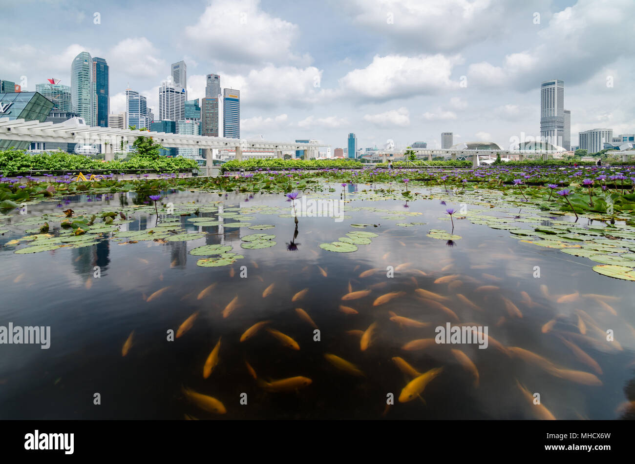 El distrito de negocios de Singapur como vista desde el estanque de lirios de Singapur Art Museo de la ciencia. Foto de stock