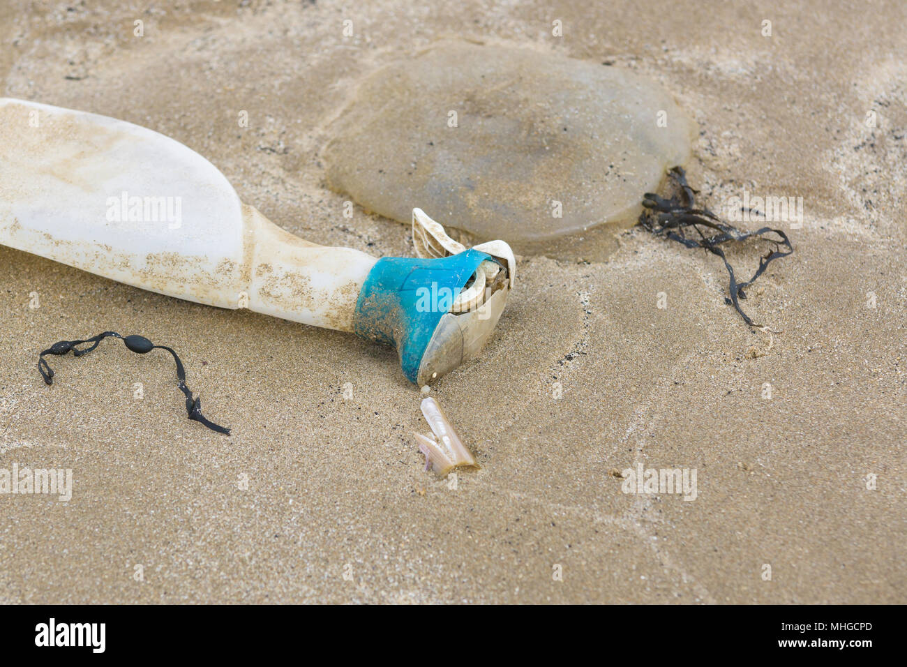 Botella de plástico situado junto a un lavado de medusas muertas en una playa en el Reino Unido, un ejemplo de la contaminación plástica en el mar Foto de stock