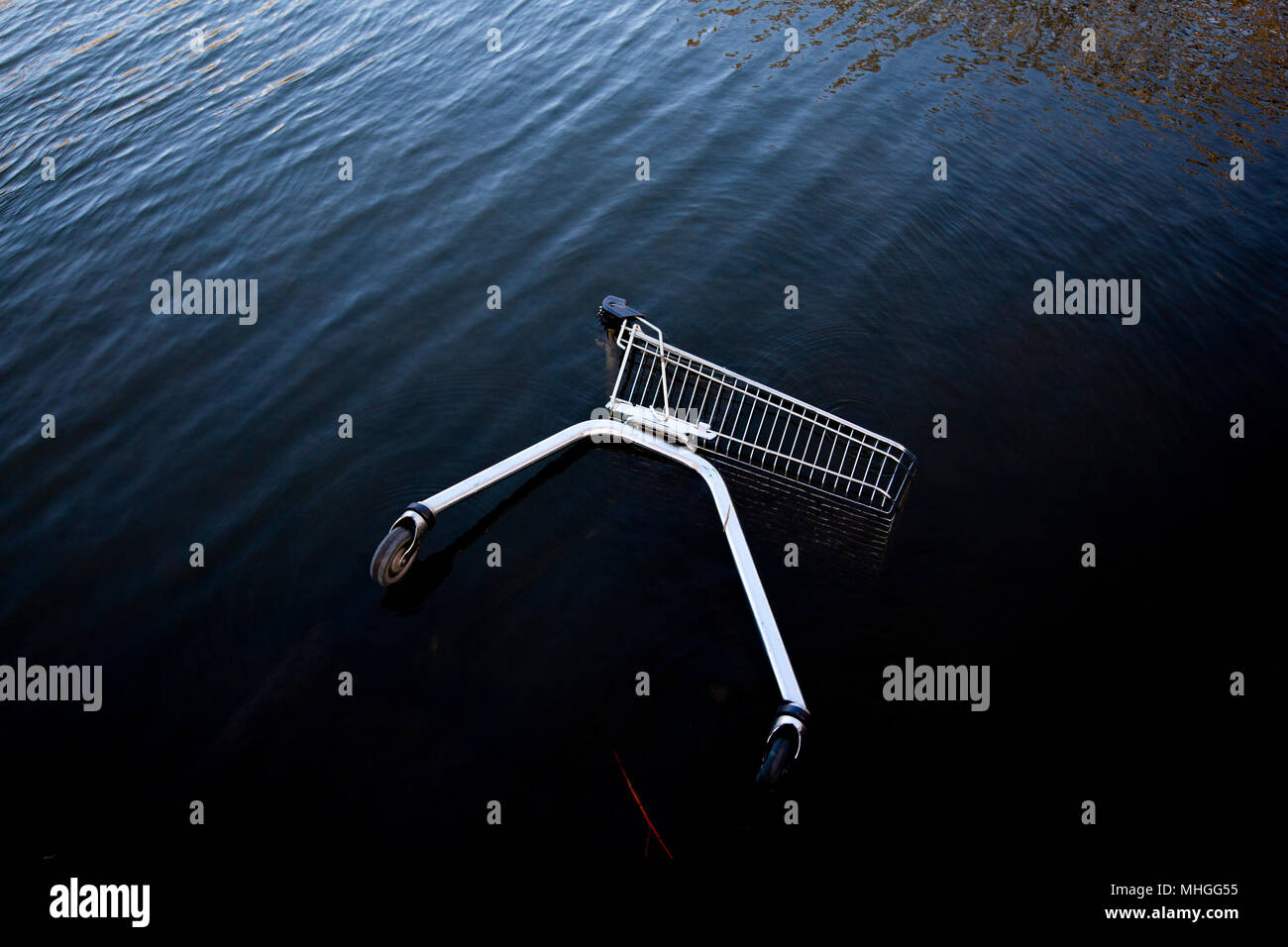 Abandonado un carrito de la compra en el río Nene en Peterborough. Foto de stock