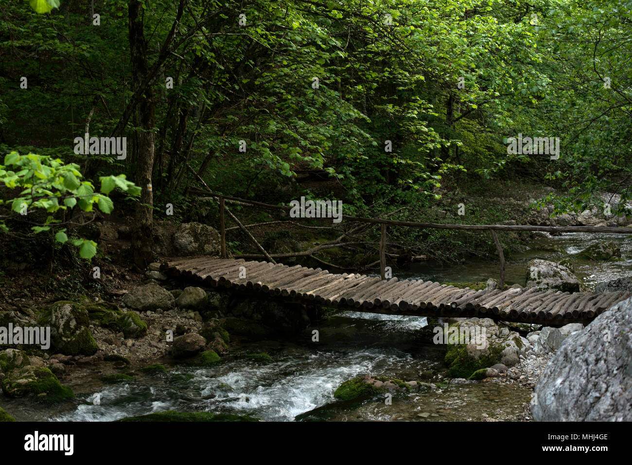 El puente de madera atraviesa el bosque río Foto de stock