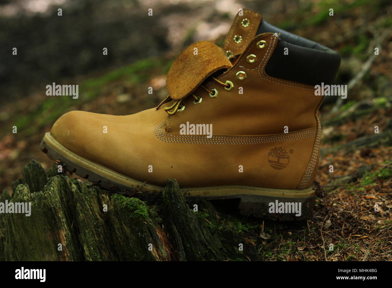 mezcla latitud enchufe Timberland Boot en un bosque Fotografía de stock - Alamy