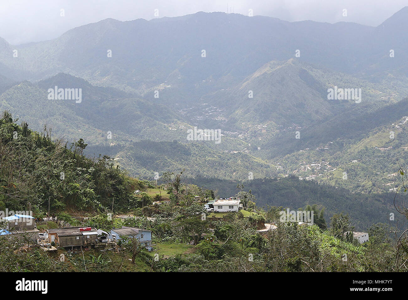 Las zonas montañosas con vegetación densa, como en Jayuya, Puerto Rico