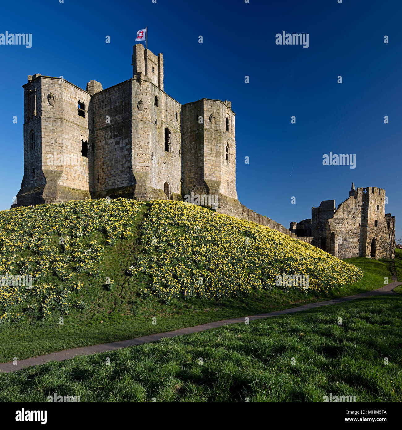 Warkworth Castillo en primavera bajo el cielo soleado, Warkworth, Northumberland, al Noreste de Inglaterra, Reino Unido Foto de stock