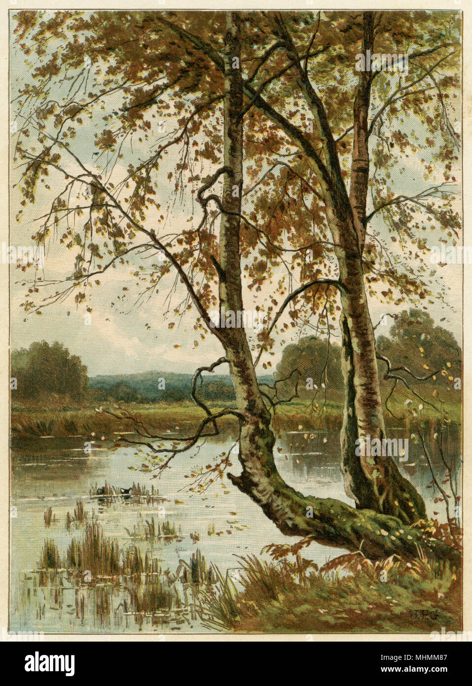 El estanque en otoño, con las aves acuáticas entre los juncos. Fecha: 1885 Foto de stock