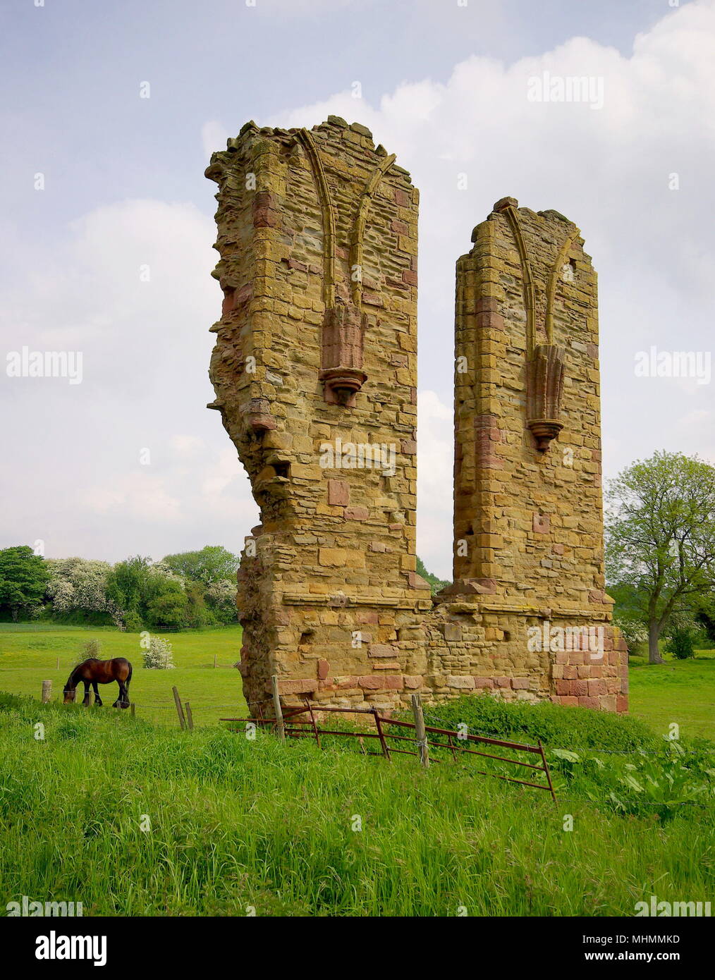 Ruinas de la abadía de Halesowen, West Midlands Foto de stock