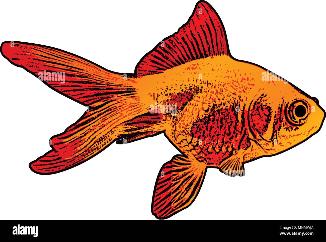 Gold Fish ilustración vectorial - Ilustración del Vector