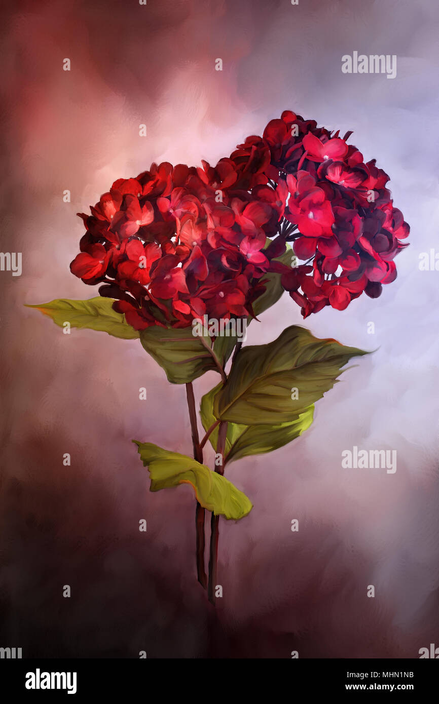 Pintura digital de hermoso color rojo las hortensias. Foto de stock