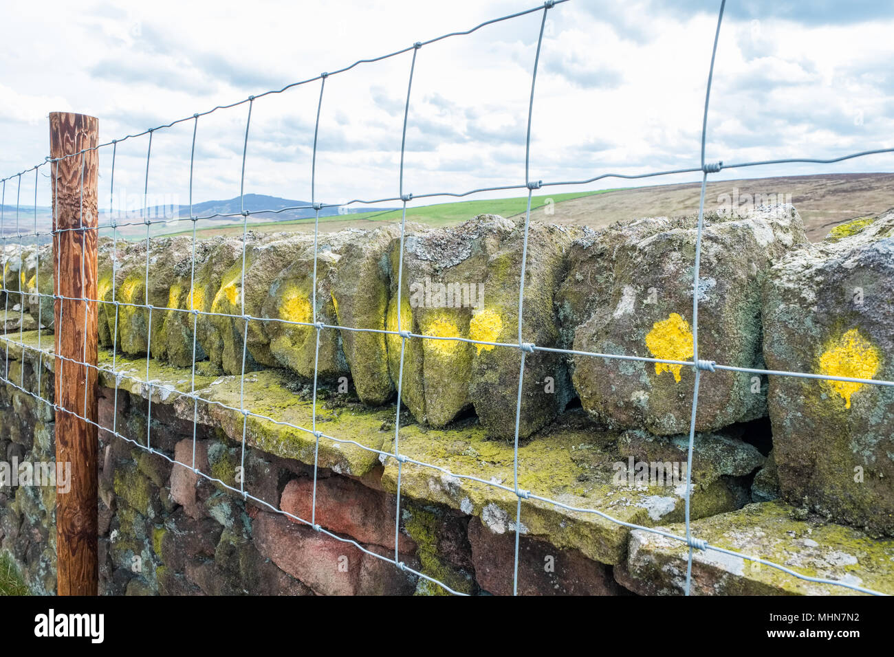 Drystone pared pintada con piedras de afrontamiento para evitar robos, Peak District Foto de stock