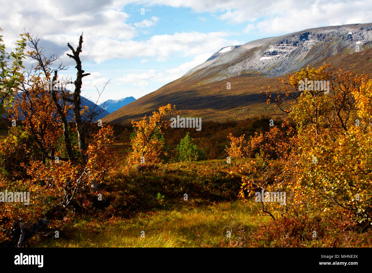 Colores de otoño en la zona montañosa de Noruega. Foto de stock