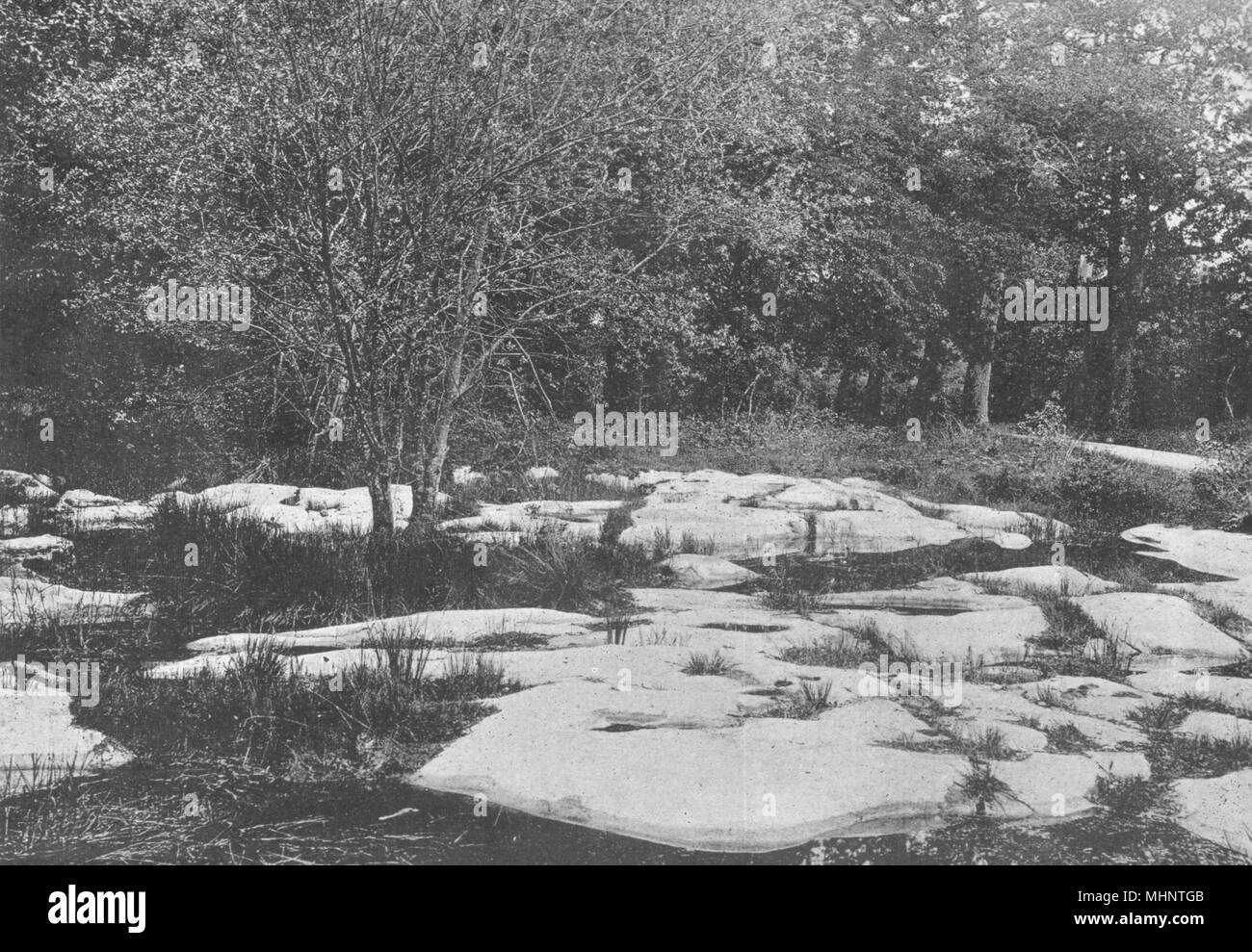 SEINE-et-Marne. Forêt de Fontainebleau. Mare des Pierres placas 1895